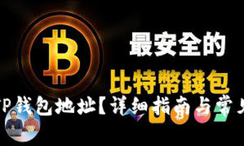 如何查找TP钱包地址？详细指南与常见问题解答